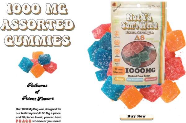 Not Ya Son's Weed Delta-8 Gummies – 50 mg Extra Strength, 20 Stück, 1000 mg