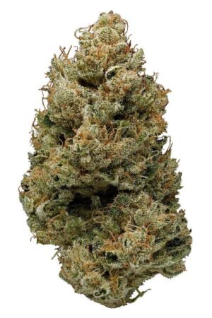 Banana-Kush.jpg Banana Kush (BK)