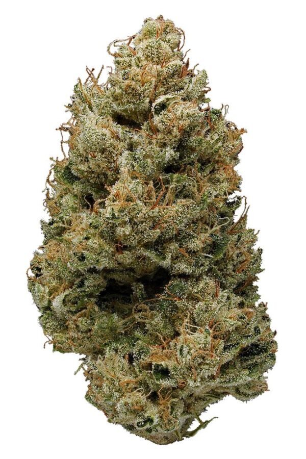 Banana-Kush.jpg Banana Kush (BK)
