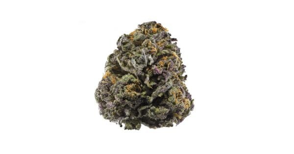 GDP (GP)