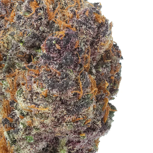 black-cherry-gelato-flower-zoom_540x.webp Black Cherry Gelato THCa Flower