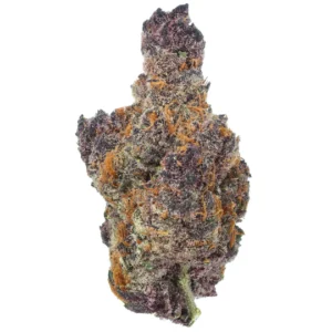 Black Cherry Gelato THCa Flower