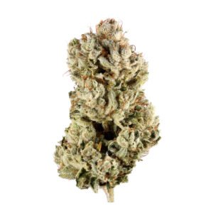 gg-4.jpg Gorilla Glue (G4)