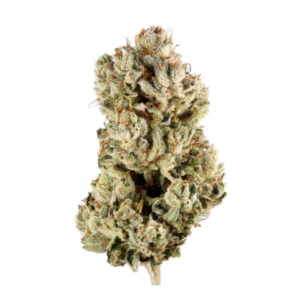 gg-4.jpg Gorilla Glue (G4)