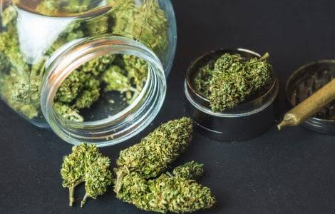 Cannabis online kaufen legal Österreich hochwertige CBD Blüten im Glas
